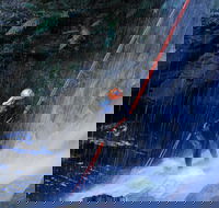 Private Blue Mountains Abseiling and Canyoning Day Trip from Sydney - Accommodation Noosa