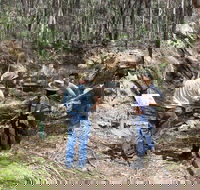 Newnes Ruins Walking Tour - Accommodation Noosa