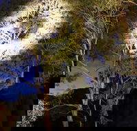 Wollemi Twilight Wildlife Tour - Accommodation Noosa