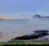 Phone Photography Workshop - Explore Coogee Beach - Accommodation Noosa
