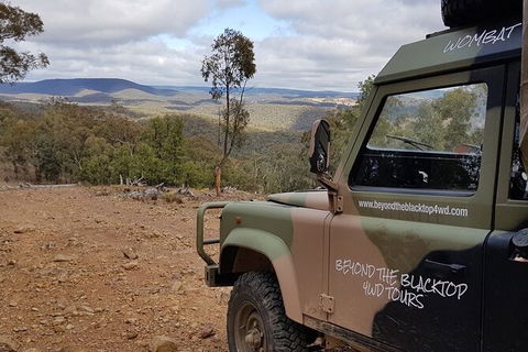 Ninety Minute Wombat Adventures Guided Tour - Accommodation Noosa 1