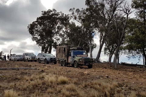 Ninety Minute Wombat Adventures Guided Tour - Accommodation Noosa 2