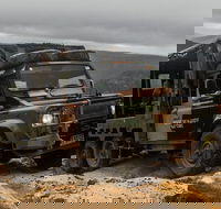 Ninety Minute Wombat Adventures Guided Tour - Accommodation Noosa