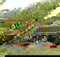 Blue Mountains Botanic Garden and Bilpin Tour from Katoomba with Cider Tasting - Accommodation Noosa