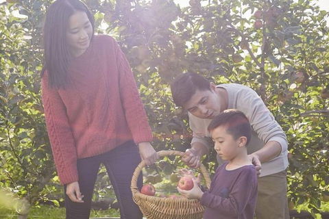 Blue Mountains Botanic Garden And Bilpin Tour From Katoomba With Cider Tasting - Accommodation Noosa 1