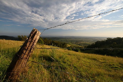 Private Full-Day Wine Tour In Hunter Valley - Accommodation Noosa 3