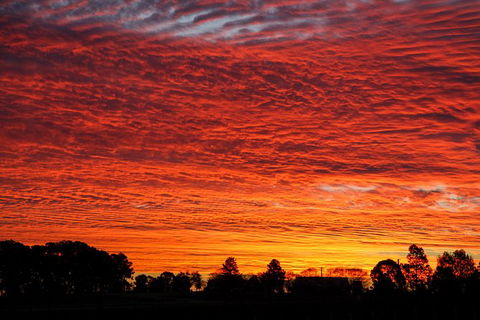 Private Full-Day Wine Tour In Hunter Valley - Accommodation Noosa 0