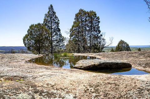 Bathurst Wine Trail Full-Day Private Tour With Tastings - Accommodation Noosa 5