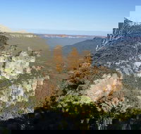 Blue Mountains Private Bus Tour From Sydney plus Featherdale Aussie Animal Park - Accommodation Noosa