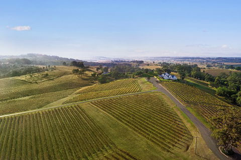 Audrey Wilkinson Vineyard: Fromage And Fortified Wine Experience - Accommodation Noosa 1