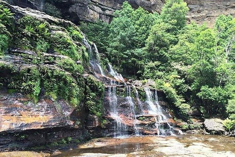 Blue Mountains Highlights & Wildlife Park - Accommodation Noosa 8