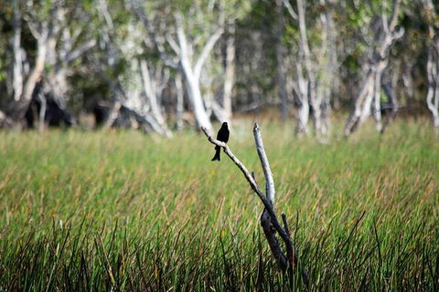 ETHICAL ADVENTURES - Dry Season Litchfield Region, Max 10 Guests - Accommodation Noosa 2