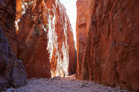 Best Of Alice Springs Full Day Tour - Accommodation Noosa 6