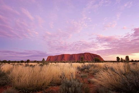 Sunset Australian Barbecue Dinner In Uluru - Accommodation Noosa 0