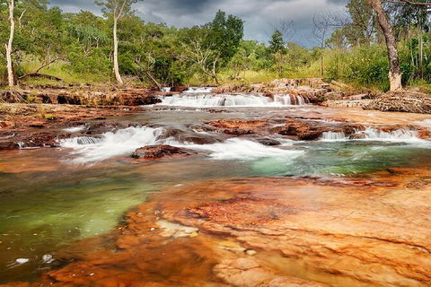 Full-Day Private Guided Tour To Litchfield National Park - Accommodation Noosa 14