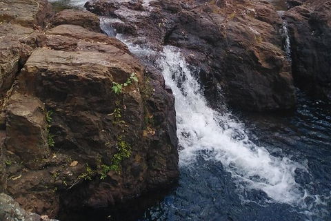Full-Day Private Guided Tour To Litchfield National Park - Accommodation Noosa 8