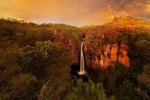 Full-Day Private Guided Tour To Litchfield National Park - Accommodation Noosa 20