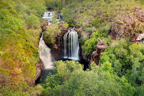 Full-Day Private Guided Tour To Litchfield National Park - Accommodation Noosa 0