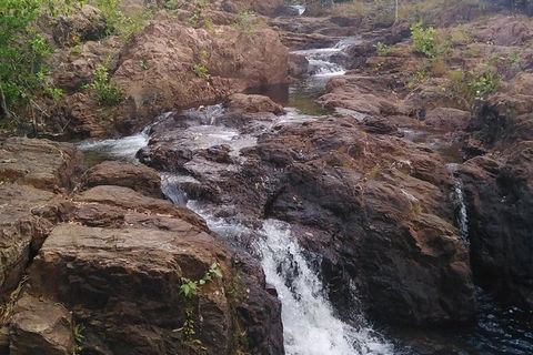 Full-Day Private Guided Tour To Litchfield National Park - Accommodation Noosa 15