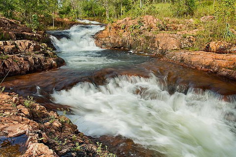 Full-Day Private Guided Tour To Litchfield National Park - Accommodation Noosa 3