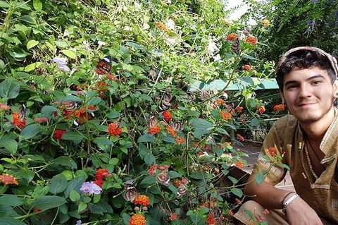 Full-Day Private Guided Tour To Litchfield National Park - Accommodation Noosa 17