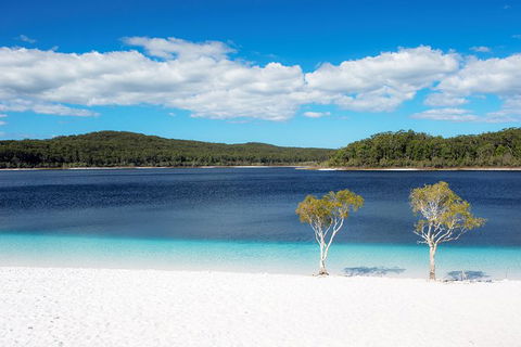All-Inclusive Fraser Island Day Tour - Accommodation Noosa 2
