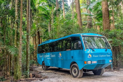 All-Inclusive Fraser Island Day Tour - Accommodation Noosa 0