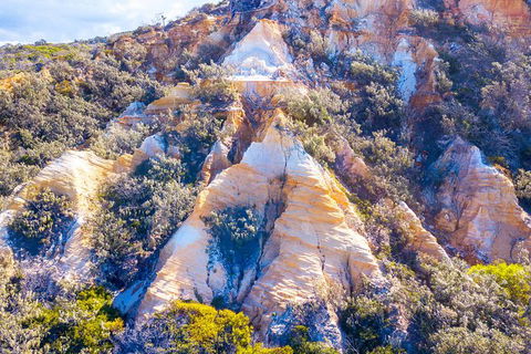 All-Inclusive Fraser Island Day Tour - Accommodation Noosa 1
