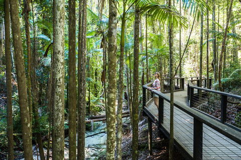 All-Inclusive Fraser Island Day Tour - Accommodation Noosa 7