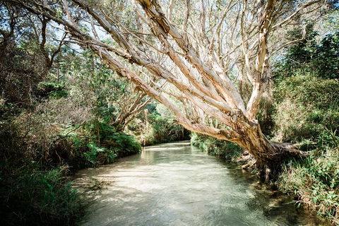 All-Inclusive Fraser Island Day Tour - Accommodation Noosa 5
