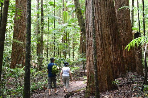All-Inclusive Fraser Island Day Tour - Accommodation Noosa 6