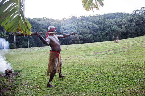 Classic Kuranda By Skyrail And Scenic Railway Including Rainforestation, Koala And Wildlife Park And Pamagirri Aboriginal Experi - Accommodation Noosa 5