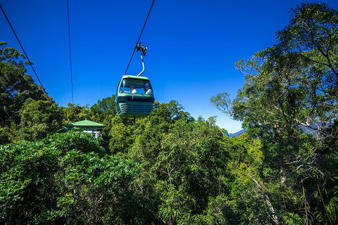 Classic Kuranda By Skyrail And Scenic Railway Including Rainforestation, Koala And Wildlife Park And Pamagirri Aboriginal Experi - Accommodation Noosa 6