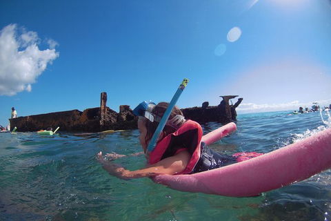 All Inclusive Dolphin And Tangalooma Wrecks Cruise - Accommodation Noosa 8