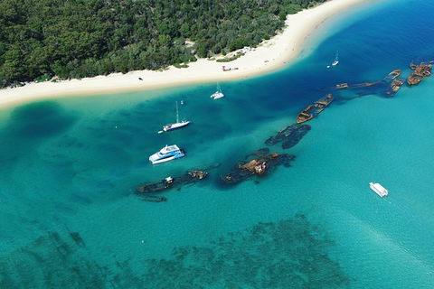 All Inclusive Dolphin And Tangalooma Wrecks Cruise - Accommodation Noosa 3
