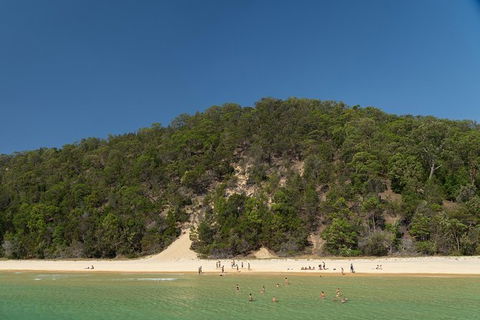 All Inclusive Dolphin And Tangalooma Wrecks Cruise - Accommodation Noosa 4