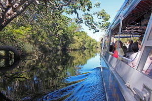 Serenity Cruise to Australia\'s Everglades