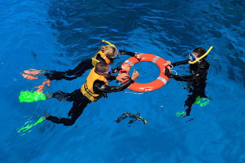 Great Barrier Reef Adventure From Cairns - Accommodation Noosa 2