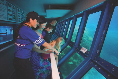 Great Barrier Reef Adventure From Cairns - Accommodation Noosa 1