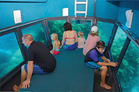 Great Barrier Reef Adventure From Cairns - Accommodation Noosa 3