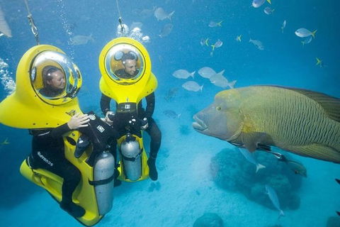 Great Barrier Reef Adventure From Cairns - Accommodation Noosa 5