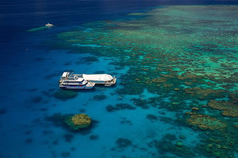 Great Barrier Reef Adventure From Cairns - Accommodation Noosa 0