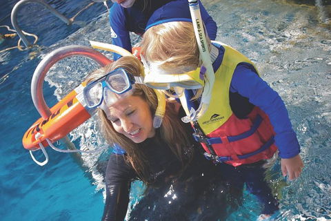 Great Barrier Reef Adventure From Cairns - Accommodation Noosa 4