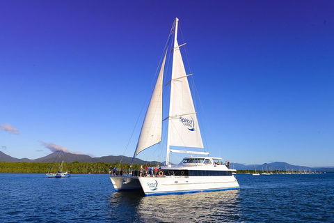 Cairns Luxury Catamaran Harbor And Dinner Cruise - Accommodation Noosa 1
