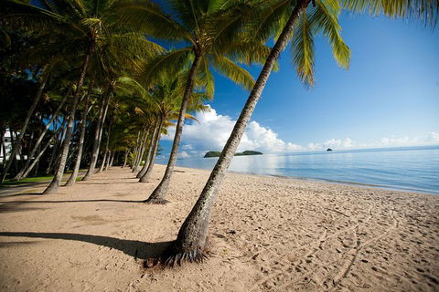 Cairns City Sights And Surrounds Tour - Accommodation Noosa 3
