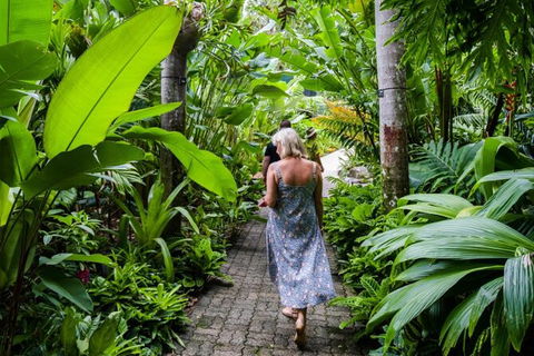 Cairns City Sights And Surrounds Tour - Accommodation Noosa 7