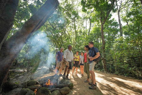 Aboriginal Cultural Daintree Rainforest Tour From Cairns Or Port Douglas - Accommodation Noosa 3