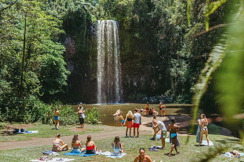 Atherton Tablelands Waterfalls And Rainforest Day Tour Departing Cairns - Accommodation Noosa 4