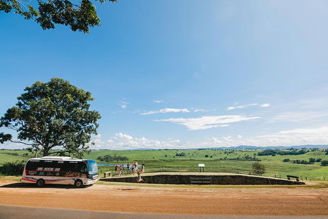 Atherton Tablelands Waterfalls And Rainforest Day Tour Departing Cairns - Accommodation Noosa 9