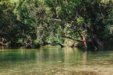 Atherton Tablelands Waterfalls And Rainforest Day Tour Departing Cairns - Accommodation Noosa 3